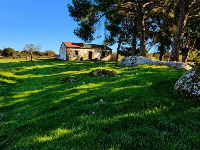 Terreno en venta Aldea del Cano