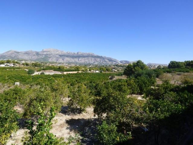 Terreno en venta Alfaz del Pi