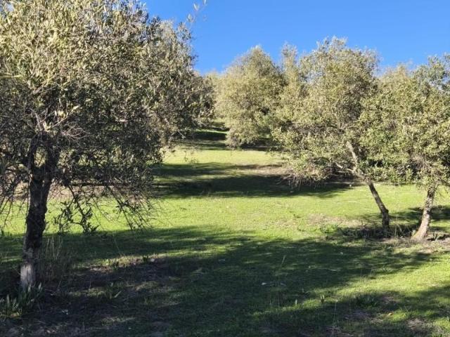 Terreno en venta Alfacar