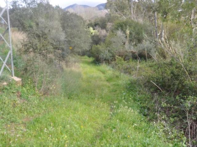 Terreno en venta Alhaurín el Grande