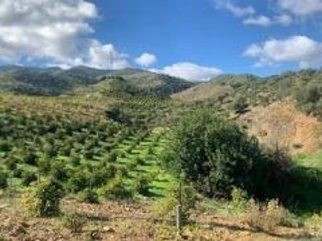 Terreno en venta Alora