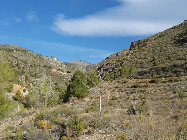 Terreno en venta Almócita