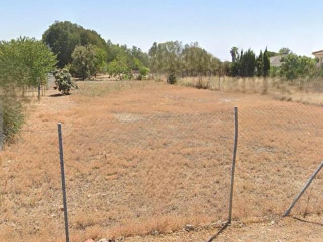 Terreno en venta Almodóvar del Río