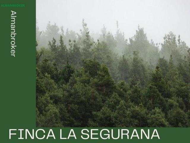 Terreno en venta Almansa