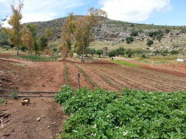 Terreno en venta Almargen