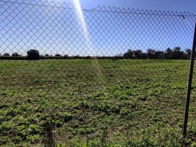 Terreno en venta Almensilla