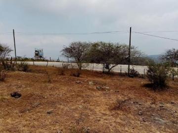 TERRENO EN VENTA ALTO LUCERO, VERACRUZ