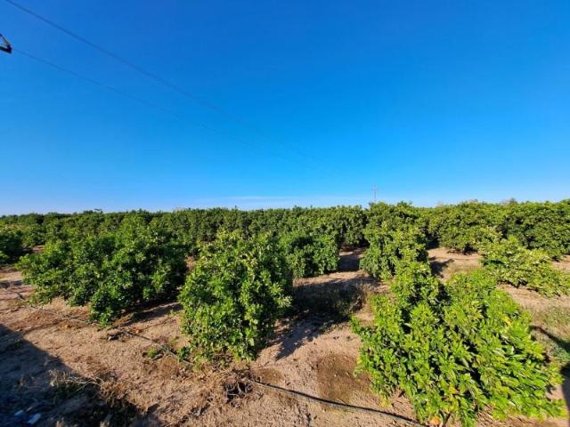 Terreno en venta Alzira