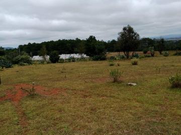 TERRENO EN VENTA AMEALCO, EL RINCON QUER?TARO. QRO SUP. 1.35 HECTAREAS