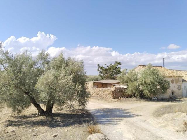 Terreno en venta Antequera