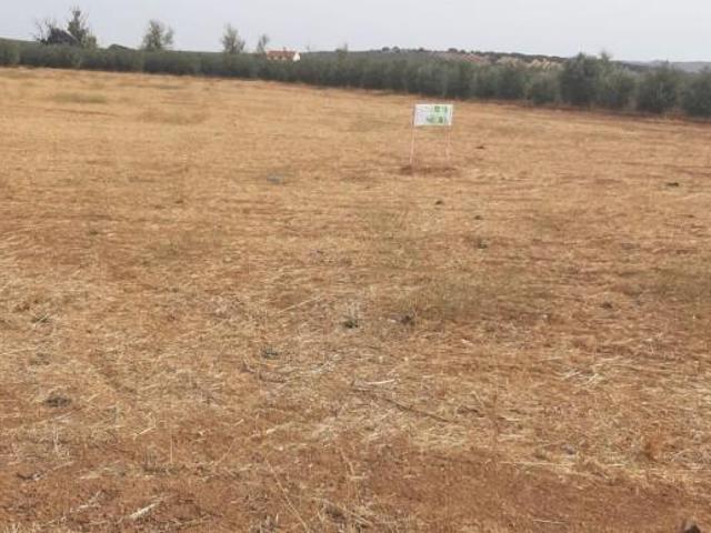Terreno en venta Antequera
