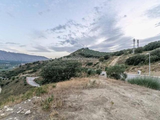 Terreno en venta Antequera