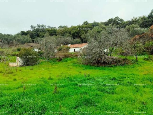 Terreno en venta Aracena