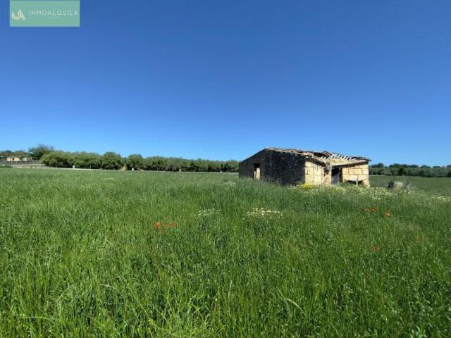 Terreno en venta Ariany