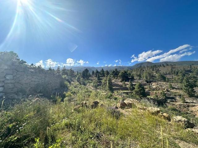 Terreno en venta Arico