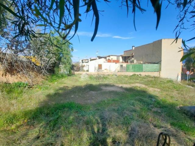 Terreno en venta Aspe