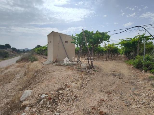 Terreno en venta Aspe