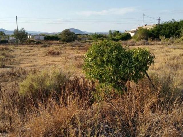 Terreno en venta Aspe