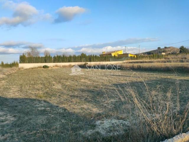 Terreno en venta Aspe
