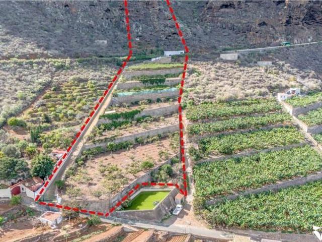 Terreno en venta Buenavista del Norte
