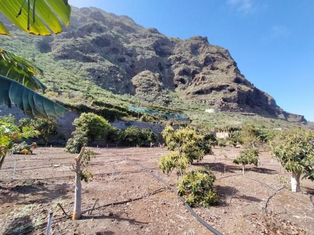 Terreno en venta Buenavista del Norte