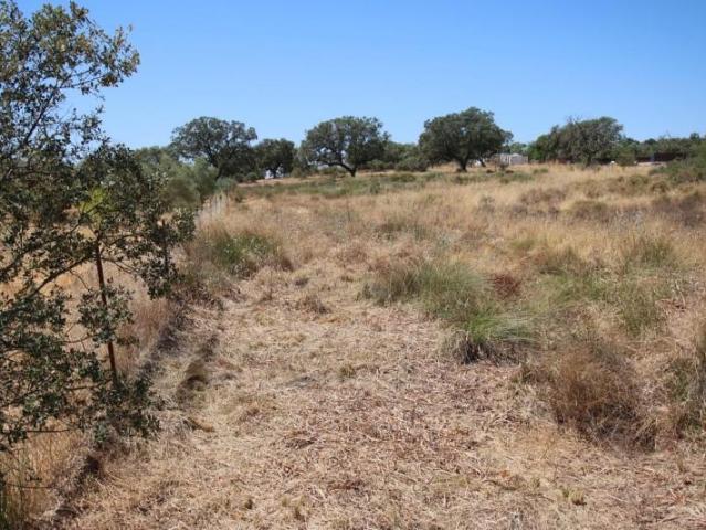 Terreno en venta Badajoz