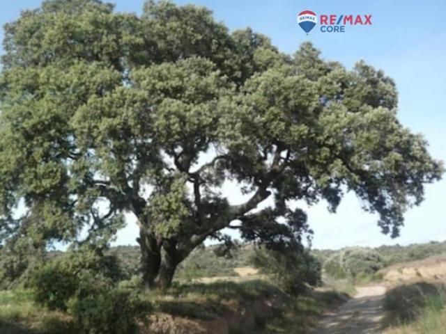 Terreno en venta Badajoz