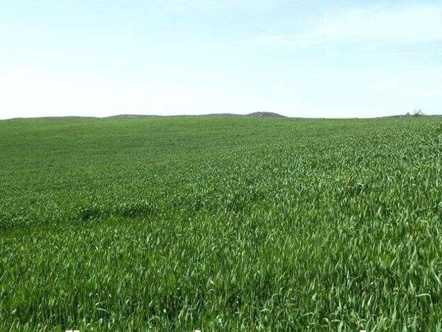 Terreno en venta Badajoz