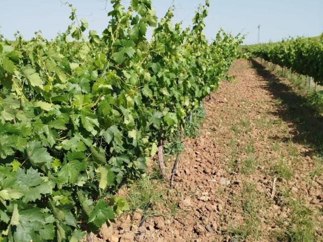 Terreno en venta Badajoz