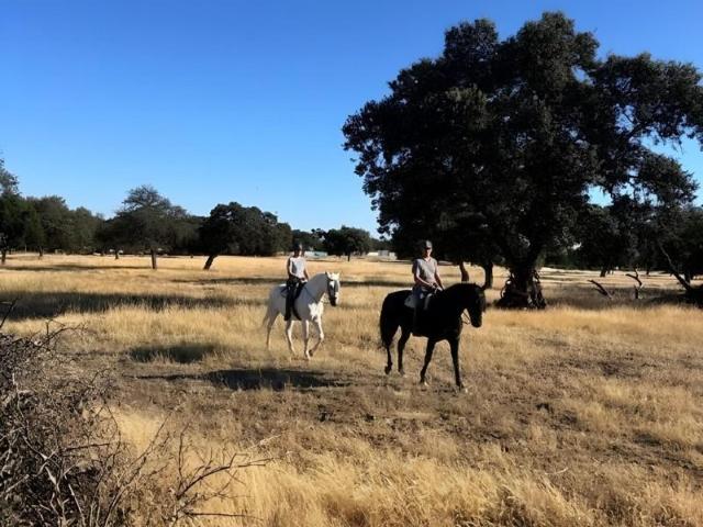 Terreno en venta Badajoz