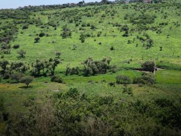 Terreno en Venta Barranca de Venadero León