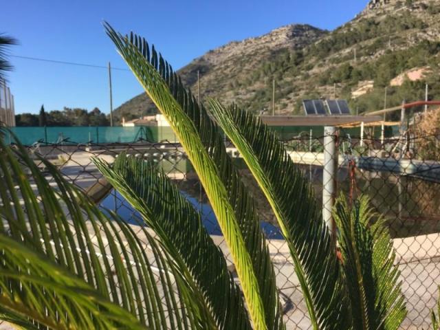 Terreno en venta Barx