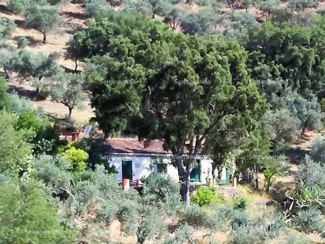 Terreno en venta Beas