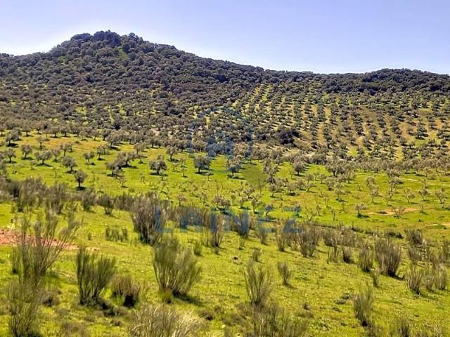 Terreno en venta Bélmez