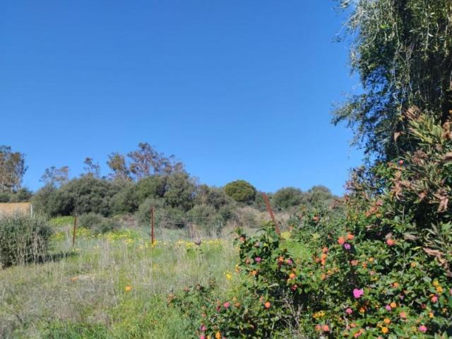 Terreno en venta Benalup Casas Viejas
