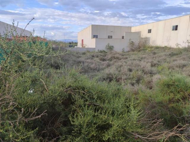 Terreno en venta Benijofar