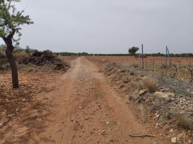 Terreno en venta Benlloch