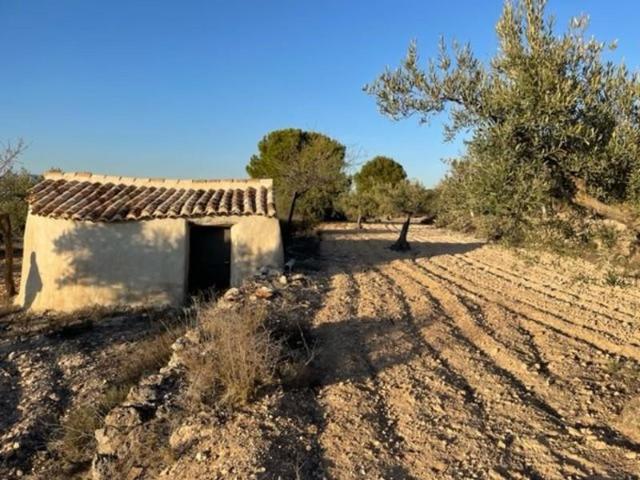 Terreno en venta Biar