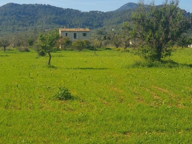 Terreno en venta Binissalem