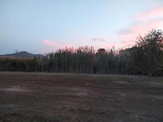 Terreno en venta Blanca