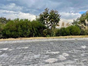 Terreno en Venta Bosque Real, Huixquilucan Edo Méx