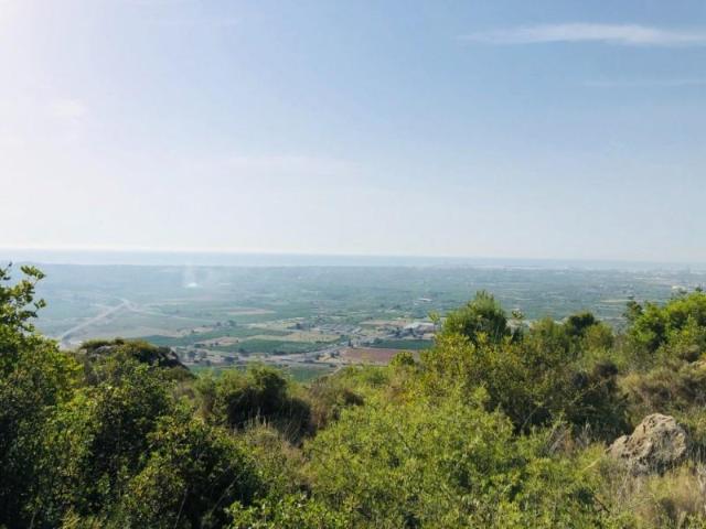 Terreno en venta Borriol