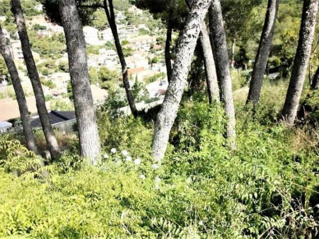 Terreno en venta Cubelles