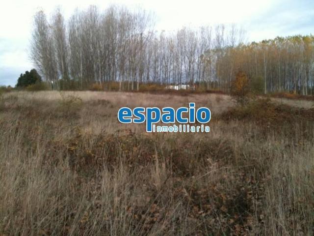 Terreno en venta Cubillos del Sil
