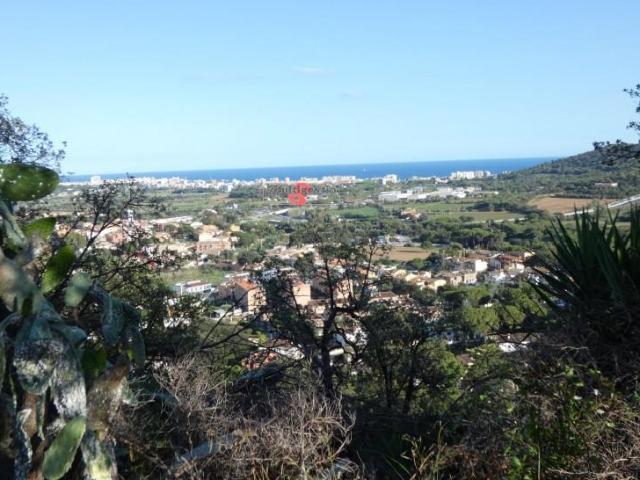 Terreno en venta Calonge