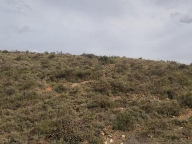 Terreno en venta Calatayud