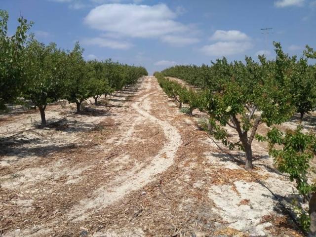 Terreno en venta Calasparra