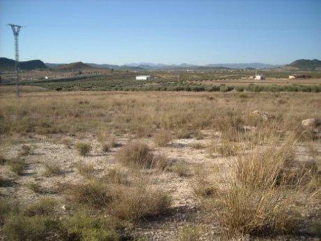Terreno en venta Calasparra