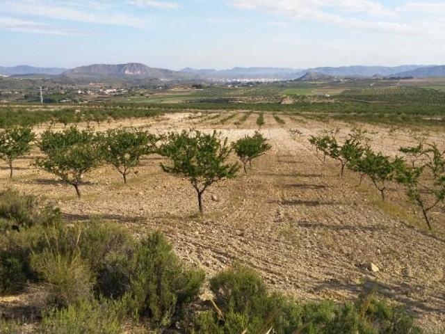 Terreno en venta Calasparra
