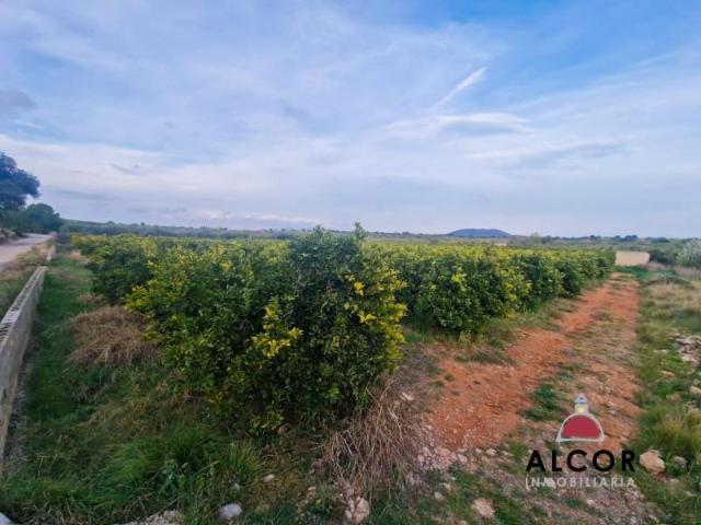Terreno en venta Càlig